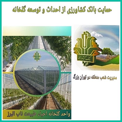سرمایه‌گذاری 1000 میلیاردی بانک کشاورزی در یک طرح مدرن گلخانه‌ای
